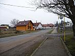 Třibřichy